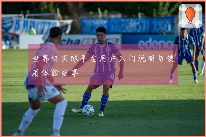 世界杯买球平台用户入门说明与使用体验分享