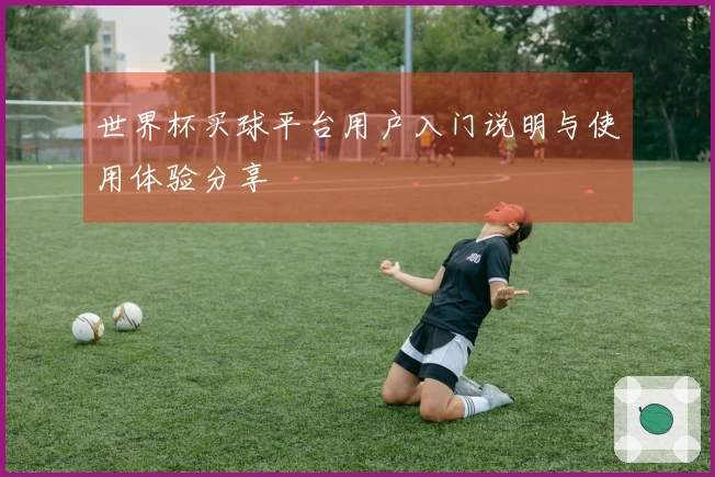 世界杯买球平台用户入门说明与使用体验分享