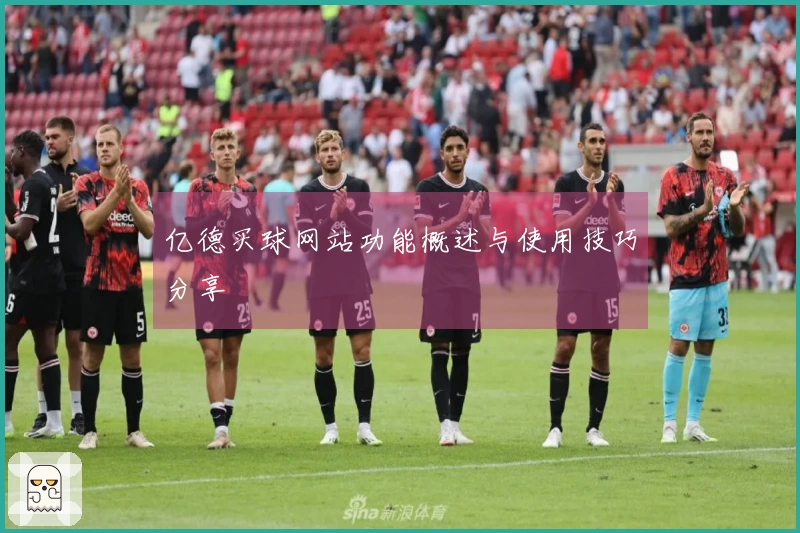 亿德买球网站功能概述与使用技巧分享