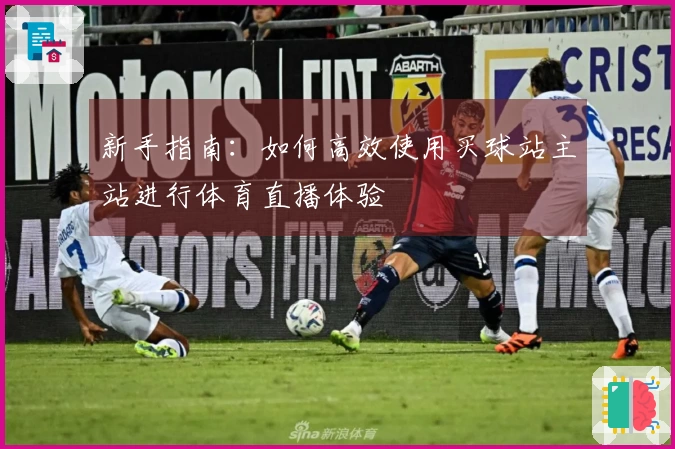 新手指南：如何高效使用买球站主站进行体育直播体验